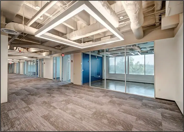 Vanilla Shell Condition