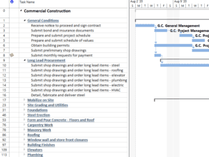 Project Plan 365 interior design schedule template